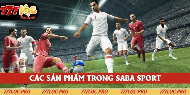 Những sản phẩm giải trí được saba sport cung cấp