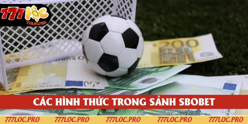 Những hình thức giải trí tại sảnh cược SBOBET hiện nay