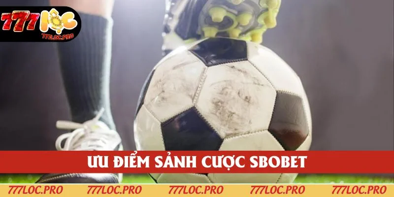 Lý do các bạn nên chọn cá cược tại sảnh thể thao này